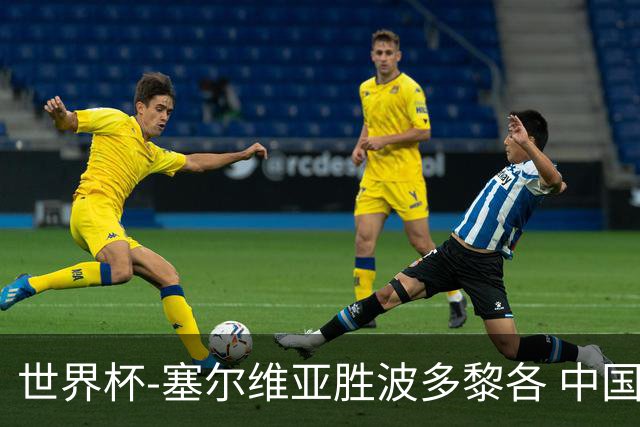 世界杯-塞尔维亚胜波多黎各 中国仍存出线可能
