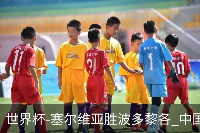 世界杯-塞尔维亚胜波多黎各 中国仍存出线可能