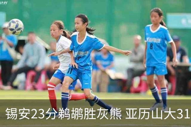 锡安23分鹈鹕胜灰熊 亚历山大31+10雷霆屠公牛