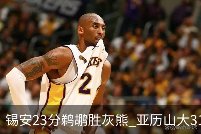 锡安23分鹈鹕胜灰熊 亚历山大31+10雷霆屠公牛